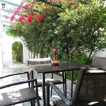 卡里斯酒店 酒店