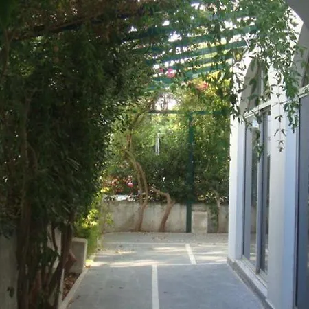 καρίς 2*
